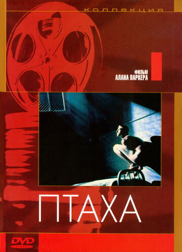 Птаха (1984)